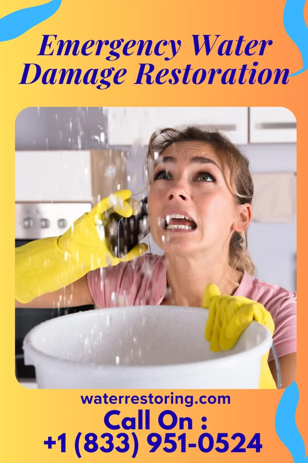 Emergency Water Damage Restoration in Andale, KS